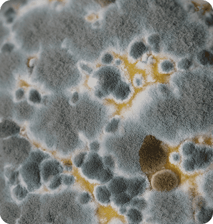 A close up of the surface of an ocean